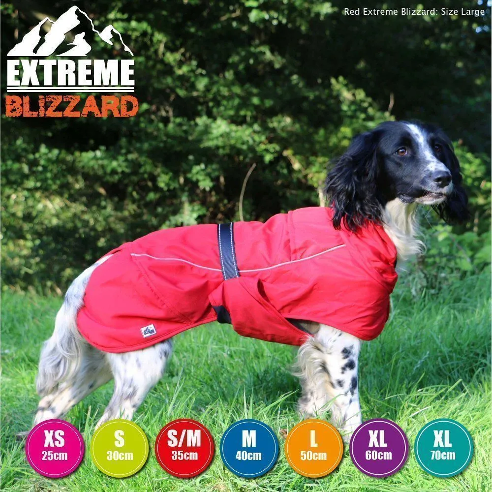 Ancol Extreme 40cm Red Blizzard Dog Coat - Medium