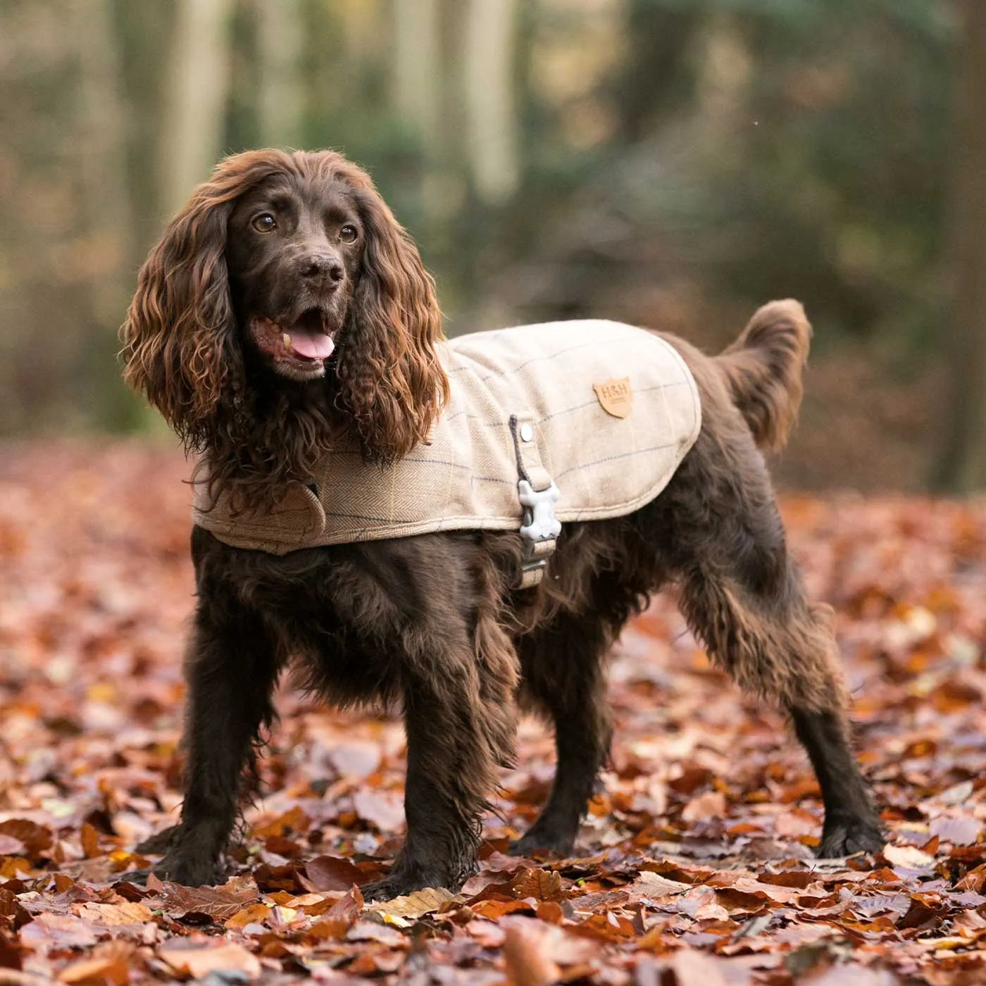 Hugo & Hudson Checked Tweed Jacket