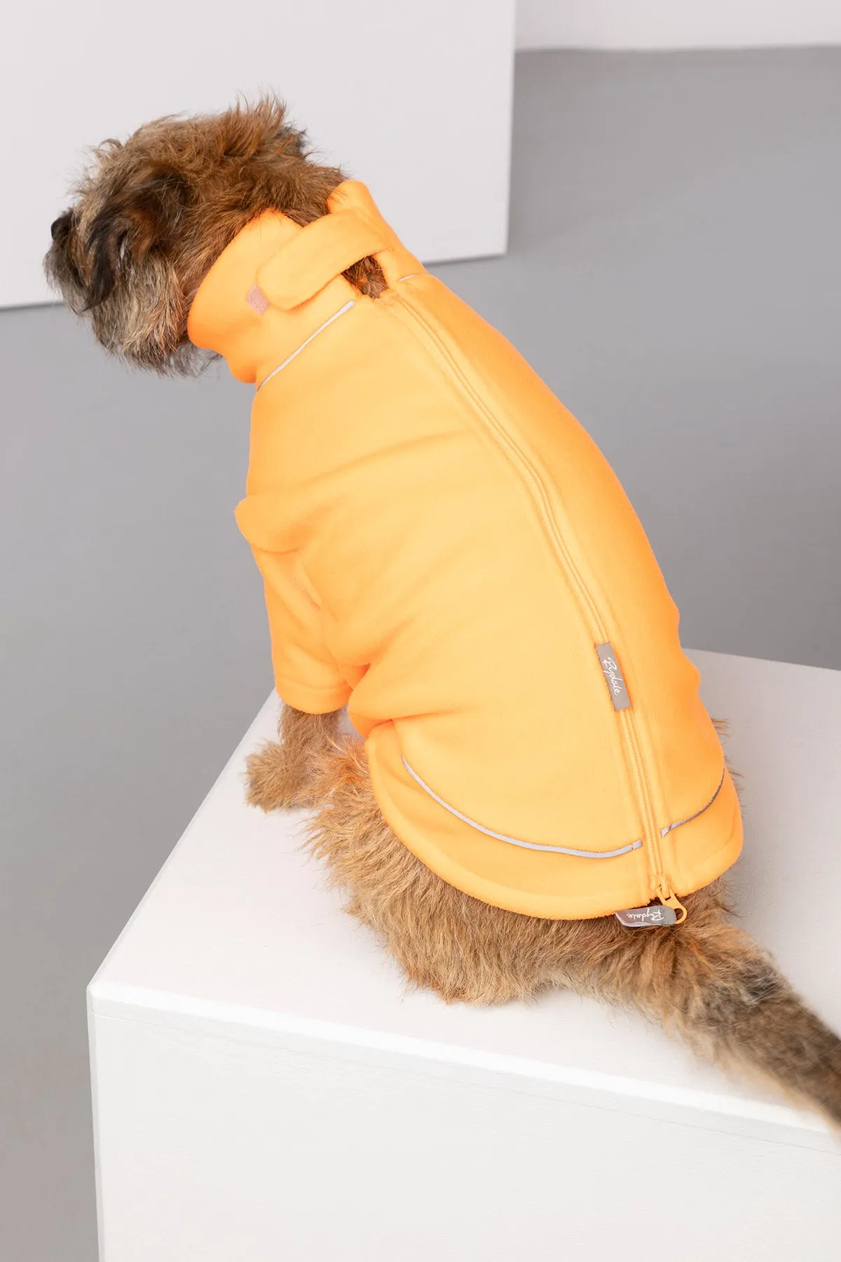 Neon Fleece Dog Jumper - Yapham