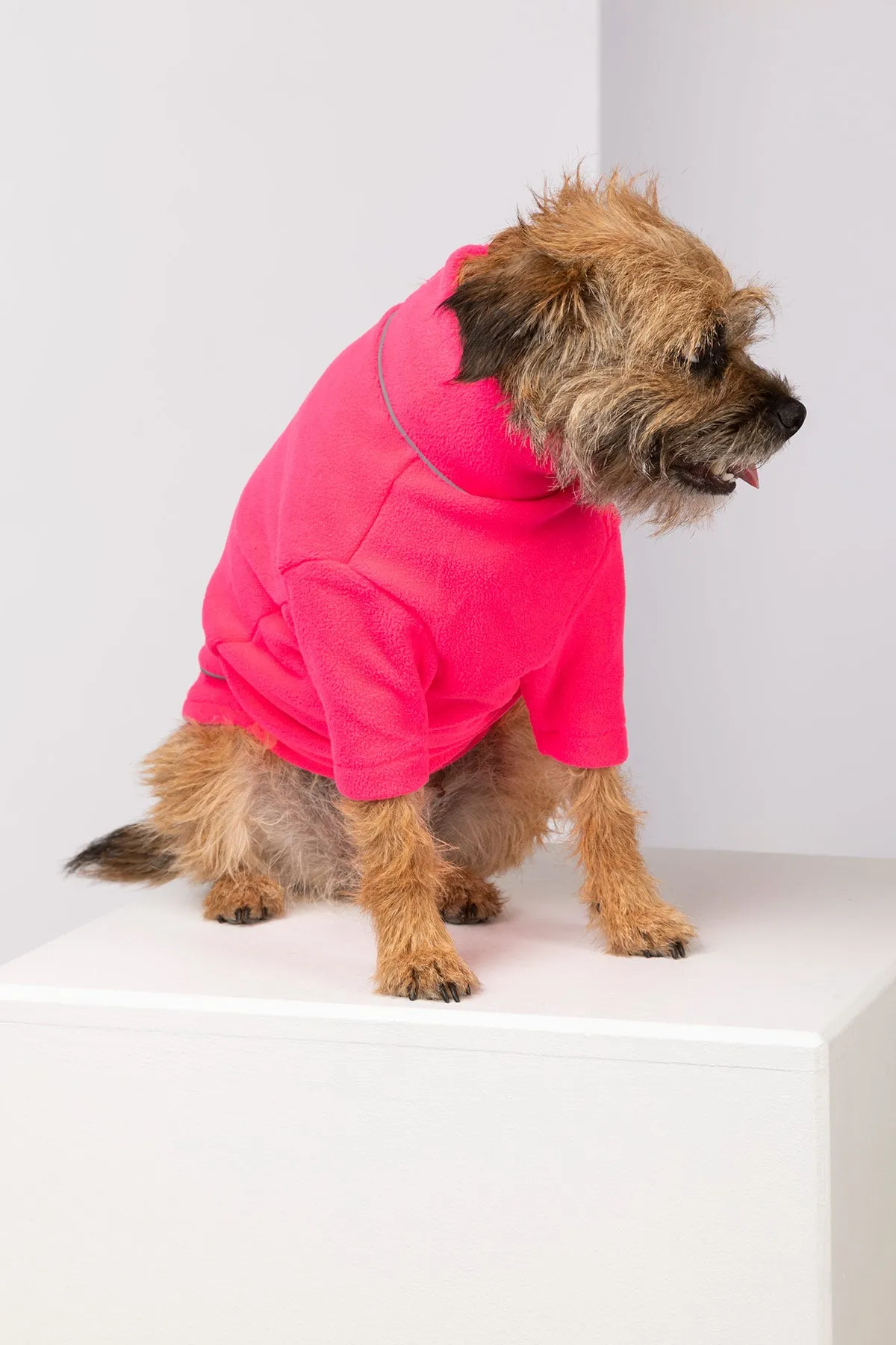 Neon Fleece Dog Jumper - Yapham