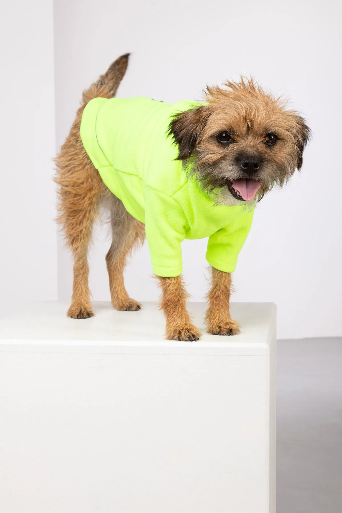 Neon Fleece Dog Jumper - Yapham