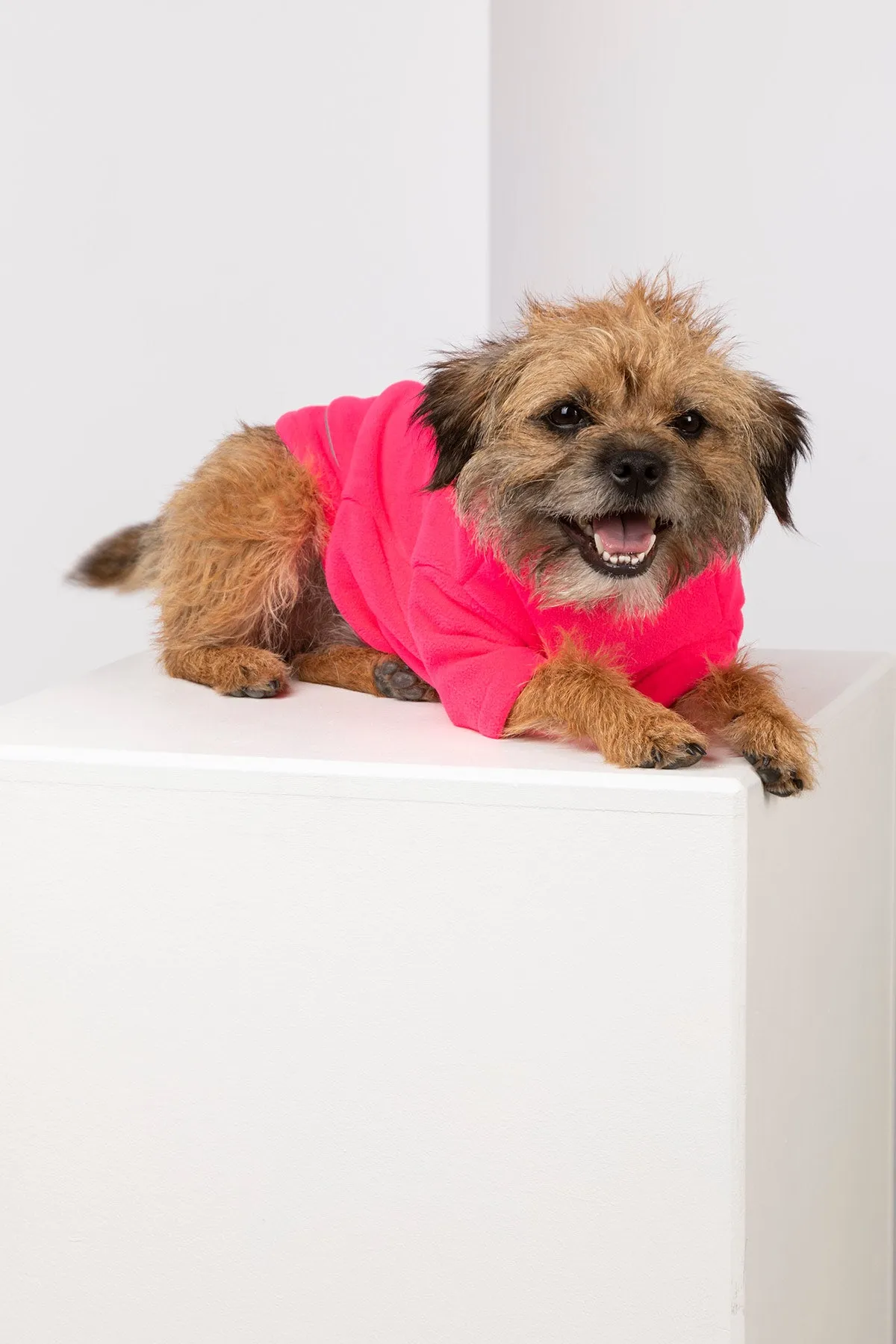 Neon Fleece Dog Jumper - Yapham