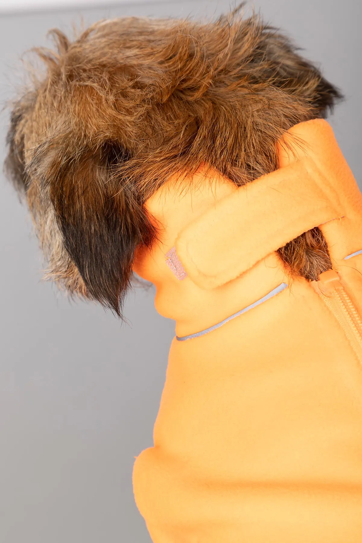 Neon Fleece Dog Jumper - Yapham