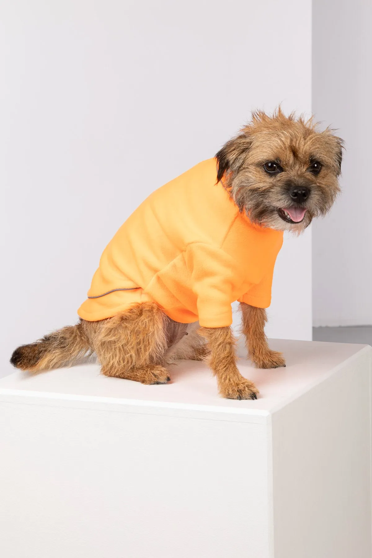 Neon Fleece Dog Jumper - Yapham