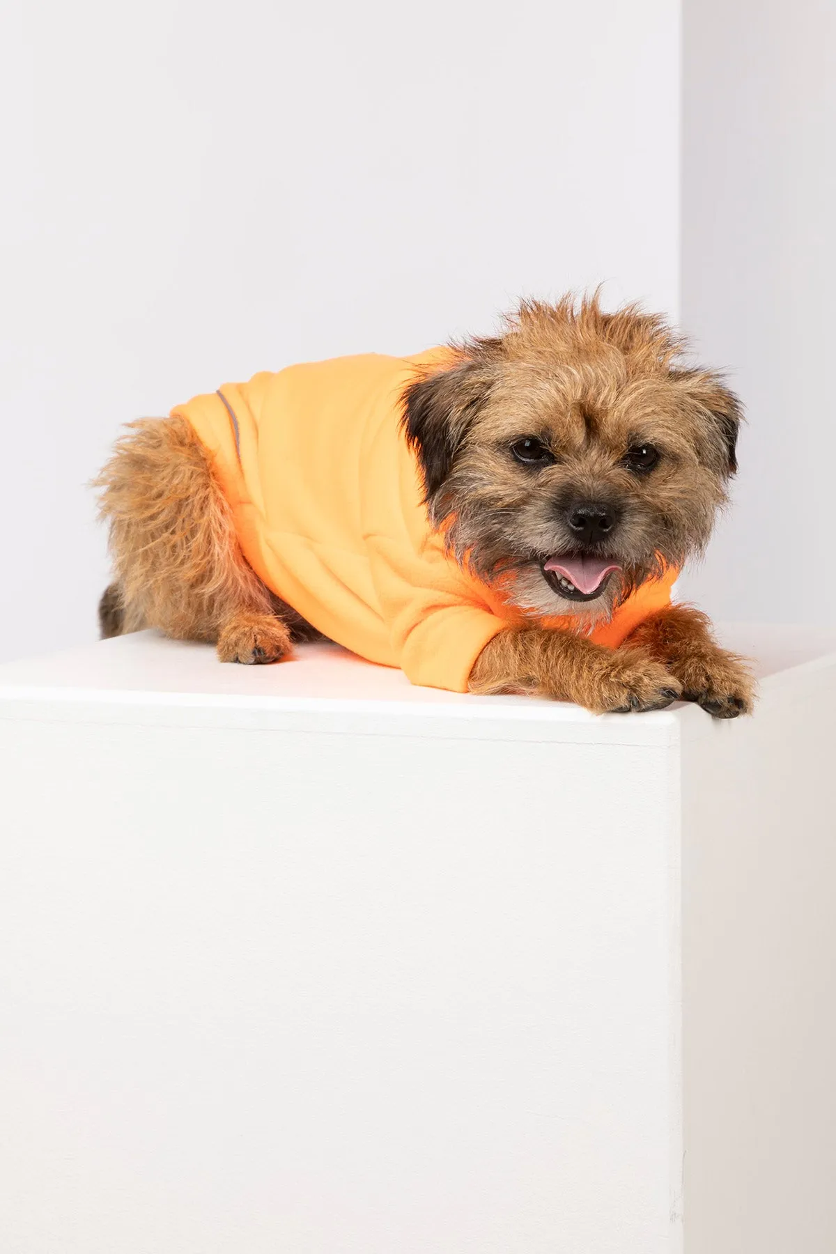 Neon Fleece Dog Jumper - Yapham